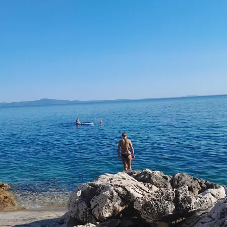 Dobrila